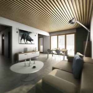 Appartement moderne à vendre à Chambéry, conçu par la CAN - Compagnie Architecture Nouvelle, optimisé pour confort et design